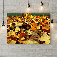 Картина на холсте "Листья на земле"