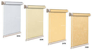 Әдемі транссексуалдардың суреттері Жетілген әйел компьютер алдында мастурбация жасайды.