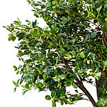 Штучне дерево - Піттоспорум 250 см, на підставці (360559), фото 2