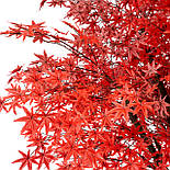 Штучне дерево - Клен 250 см, на підставці (360566), фото 3