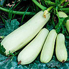 Кабачок Ангеліна F1 Syngenta/Нідерланди 5 шт, фото 6