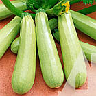 Кабачок Ангеліна F1 Syngenta/Нідерланди 5 шт, фото 5
