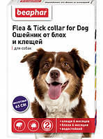 Beaphar Flea and Tick collar for Dog - ошейник Бифар от блох и клещей для собак, фиолетовый - 65 см