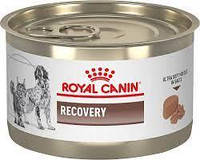 РоялКанин Рекавери Royal Canin Recovery для собак и кошек в восстанов. период после болезни 200 г