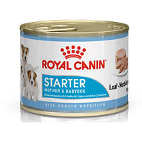 Корм Роял Канин Стартер мусс Royal Canin Starter Mousse для кормящих собак и щенков 195 г