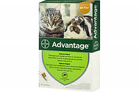 Advantage Капли от блох для кошек и котят менее 4 кг - 1 пип.