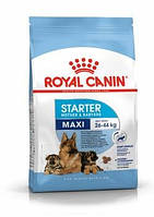 Корм Роял Канин Макси Стартер Royal Canin Maxi Starter для щенков и кормящих собак крупных пород 1 кг