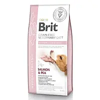 Сухой корм для собак, при пищевой аллергии Brit GF Veterinary Diet Hypoallergenic 12 кг (лосось)