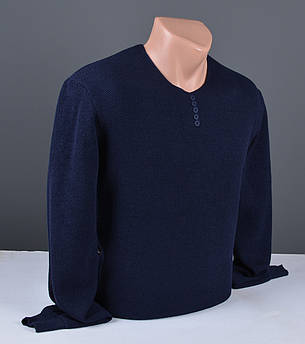Чоловічий светр Vip Stendo великого розміру (БАТАЛ)