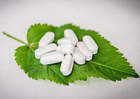  Artemisinin: полин, що очищає, лікує й продовжує молодість