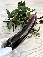 Штучний баклажан, муляж баклажана (17 см уцінка), фото 5