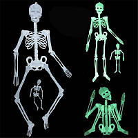 Скелет фосфорный подвесной 90 см светится в темноте - декорация на хэллоуин