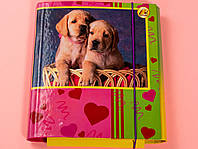 Уцінка Папка для зошитів картонна на гумці Собаки