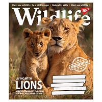 Тетрадь Yes А5 Wild life 96 листов, линия (766133) - Топ Продаж!