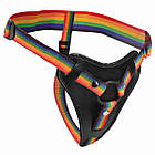 Страпон і трусики Take the Rainbow Universal XR Brands райдужний
