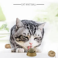Кошачья мята игрушка для котов Вкусняшка CatNip