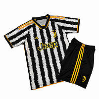 Футбольна форма ФК Ювентус сезон 2023-2024 р