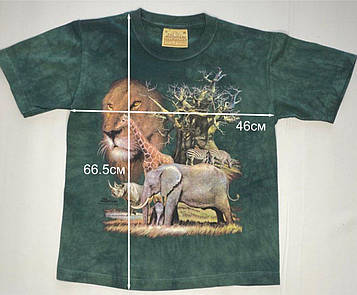 Дитяча футболка «Гудзик» (льоля) 3d Футболка The Mountain — розмір 46*66 см, США