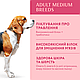 Акція! Сухий корм Optimeal (Оптимил) Medium для собак середніх порід з індичкою 12 КГ, фото 7