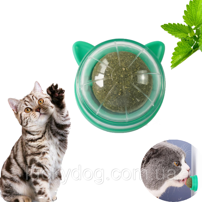 Котяча м'ята, іграшка для котів - спресована кулька котячої м'яти