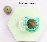 Котяча м'ята, іграшка для котів - спресована кулька котячої м'яти, фото 5
