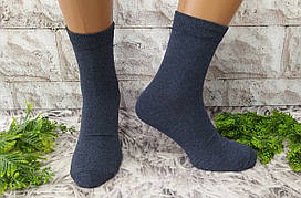 Шкарпетки чоловічі р. 27-29 за 1 пару бавовна високі сині Friendly Socks 1011527-001-03
