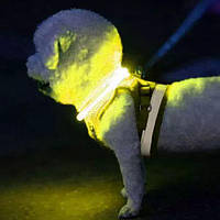Ошейник для собак (желтый) Purlov регулируемый со светодиодной подсветкой с USB-зарядкой Размер 20-70 см