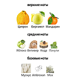 Jimmy Choo Man Ice туалетна вода, 50 мл, фото 4