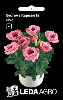 Еустома Кармен F1 роуз, 5шт (ЛАН)