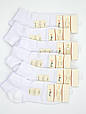 Чоловічі короткі шкарпетки Jel Moud модал, літні однотонні на кожен день, без шва, розмір 42-44,12 пар/уп. білі, фото 5