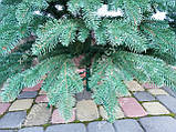 Лита ялинка Ковалівська 2.50 м. зелена, фото 6