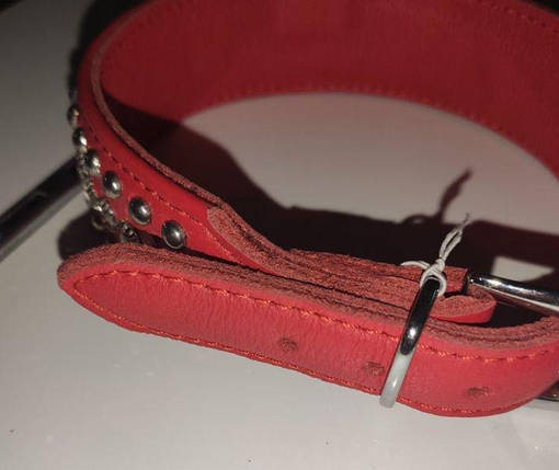 Нашийник Leather Rivet, фото 2