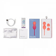 Вагінальні Кульки з Вібрацією We-Vibe Bloom Kegel Balls, фото 3