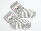 Дитячі шкарпетки середні BEMBI котик бавовна для дівчаток 12 пар/уп мікс, фото 2