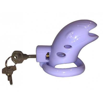 Пояс вірності з трьома кільцями Runye Chastity cage фіолетовий, фото 1