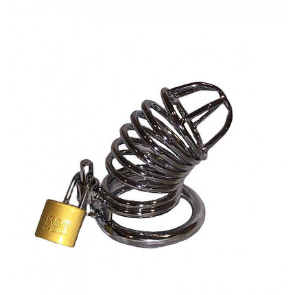 Пояс Вірності Metal, фото 1