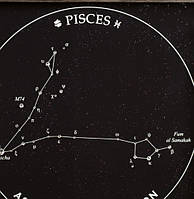 Подарок Рыбе панно с изображение созвездия Рыб