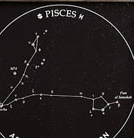 Подарунок Рибі — панно з зображенням сузір'я Риб