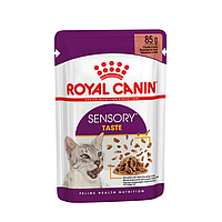Royal Canin Sensory Taste Gravy 85 г влажный корм для котов (167436-21) BE