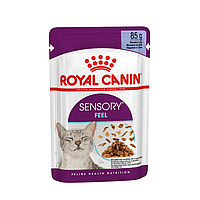 Royal Canin Sensory Feel Jelly 85 г влажный корм для котов (167440-21) BE