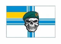 Шеврон Флаг морской пехоты череп в берете ВМС Украины Шевроны на заказ ВСУ (AN-12-920)