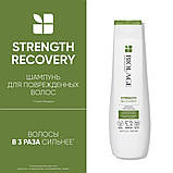 Шампунь Strength Recovery для зміцнення пошкодженого волосся Biolage,250ml, фото 9