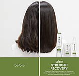 Шампунь Strength Recovery для зміцнення пошкодженого волосся Biolage,250ml, фото 4
