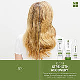 Шампунь Strength Recovery для зміцнення пошкодженого волосся Biolage,250ml, фото 3