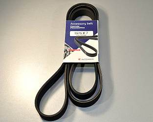 Поліклиновий ремінь на Renault Trafic 06->2014 2.0 dCi (ALT, AC) — Hutchinson - HH 7PK1975