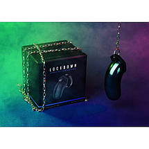 Пояс вірності Lockdown Chastity Cage, L, фото 6