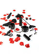 Набір секс іграшок Toy Joy Amazing Pleasure Sex Toy Kit, фото 3