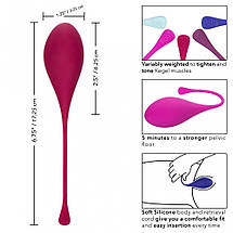 Набір вагінальних кульок California Exotics Kegel Training 5-Piece Set, фото 5
