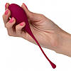 Набір вагінальних кульок California Exotics Kegel Training 5-Piece Set, фото 7