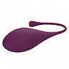 Набір вагінальних кульок California Exotics Kegel Training 5-Piece Set, фото 8